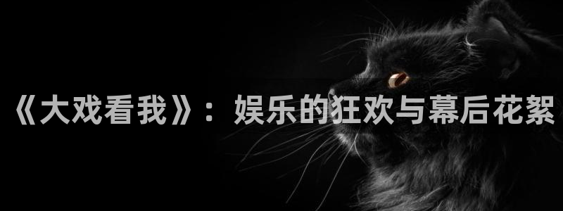 摩根娱乐