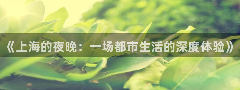 摩根娱乐