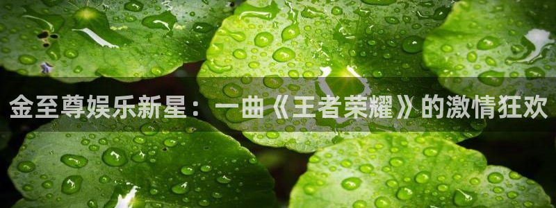 摩根娱乐