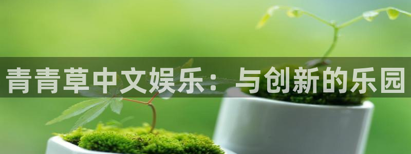 摩根娱乐